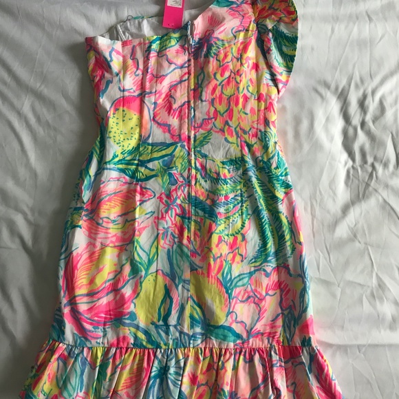 ❌❌Lilly Pulitzer Dress❌❌❌❌ - Picture 9 of 10